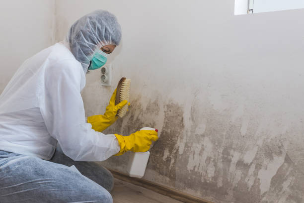 Mold Removal Process in Glen Lyon, PA