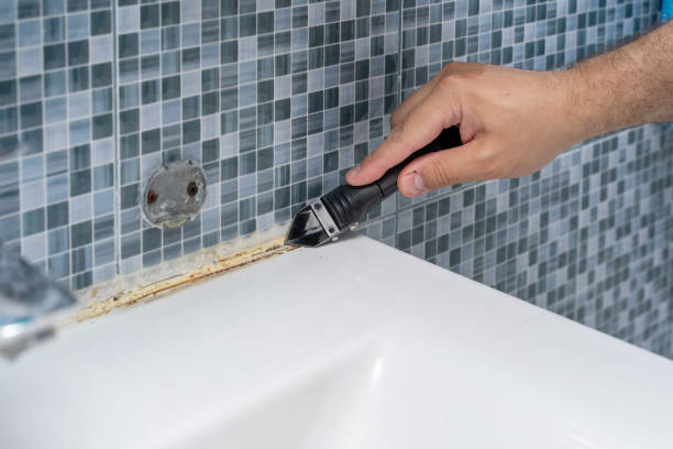Best Commercial Mold Removal  in Glen Lyon, PA
