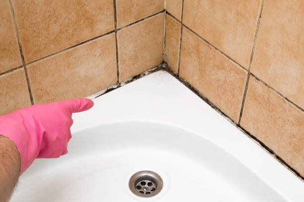 Best Mold Removal Process  in Glen Lyon, PA